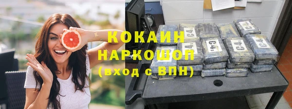 гашик Инта