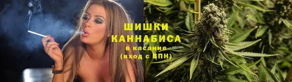 гашик Инта