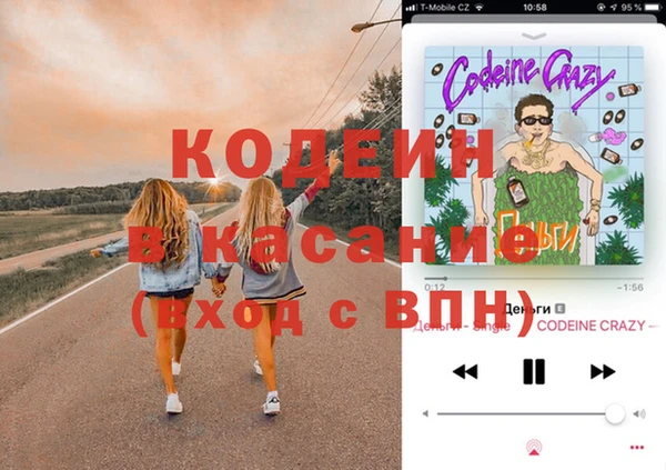 гашик Инта