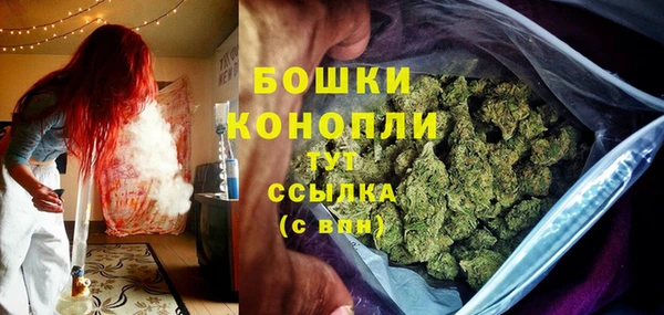 гашик Инта
