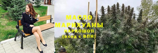 гашик Инта