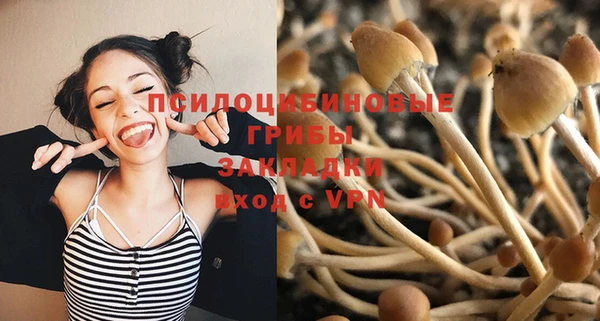 гашик Инта