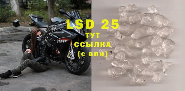 гашик Инта
